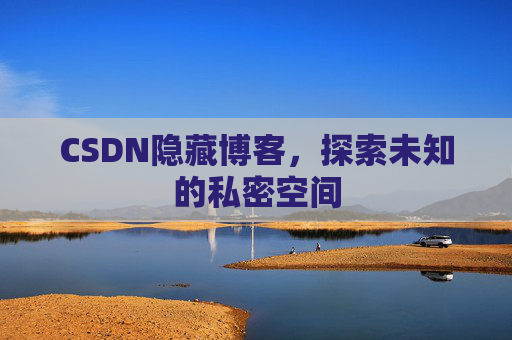 CSDN隐藏博客，探索未知的私密空间
